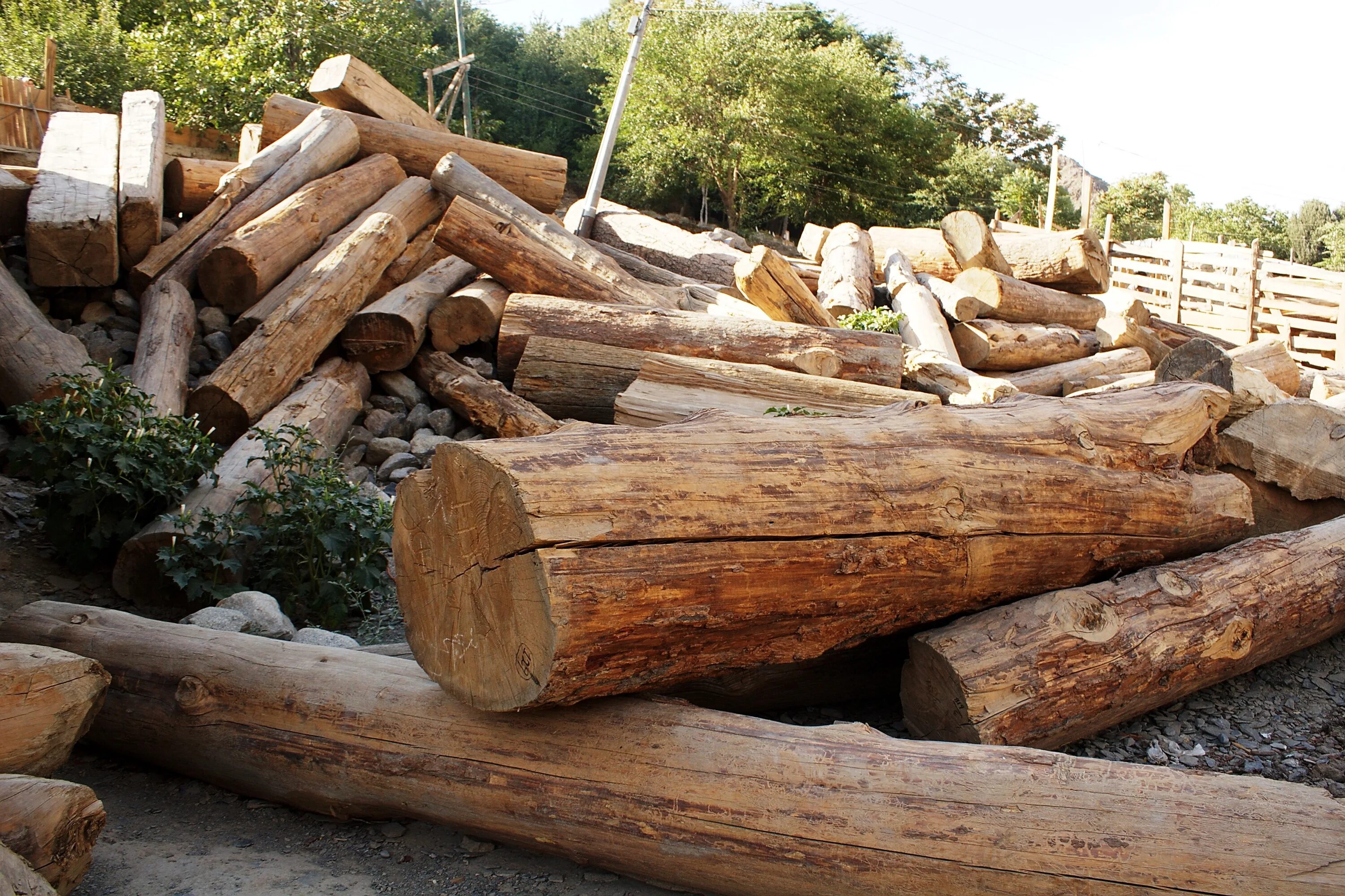 Logs posting. Timber. Timber logging. Timber ke$a год. Wood Timber.