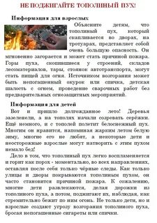 Можно ли поджигать тополиный пух ответ