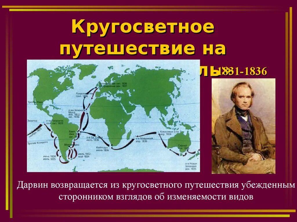 Кругосветное путешествие Чарльза Дарвина. Путешествие Дарвина на корабле Бигль. Путешествие Чарльза Дарвина на корабле Бигль маршрут. Ч дарвин кругосветное путешествие