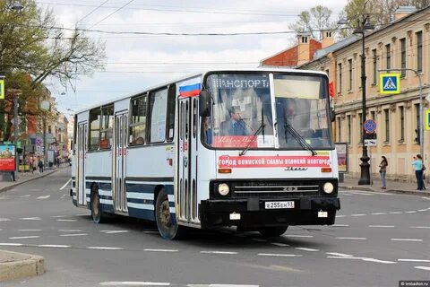 Автобус 53 спб