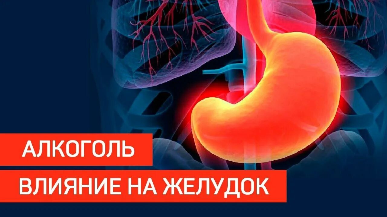 Диета при болях в животе. После сигарет болит желудок. От вина болит желудок. Держится за живот. От вина болит желудок.