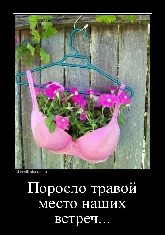 Поросло травой место наших встреч. Поросла травой слушать. Дорога в рай поросла травой. Поросла травой слушать. Поросла травой слушать.