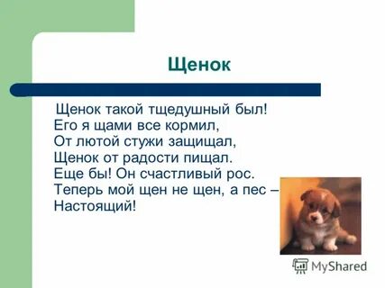 Есть слово щенок