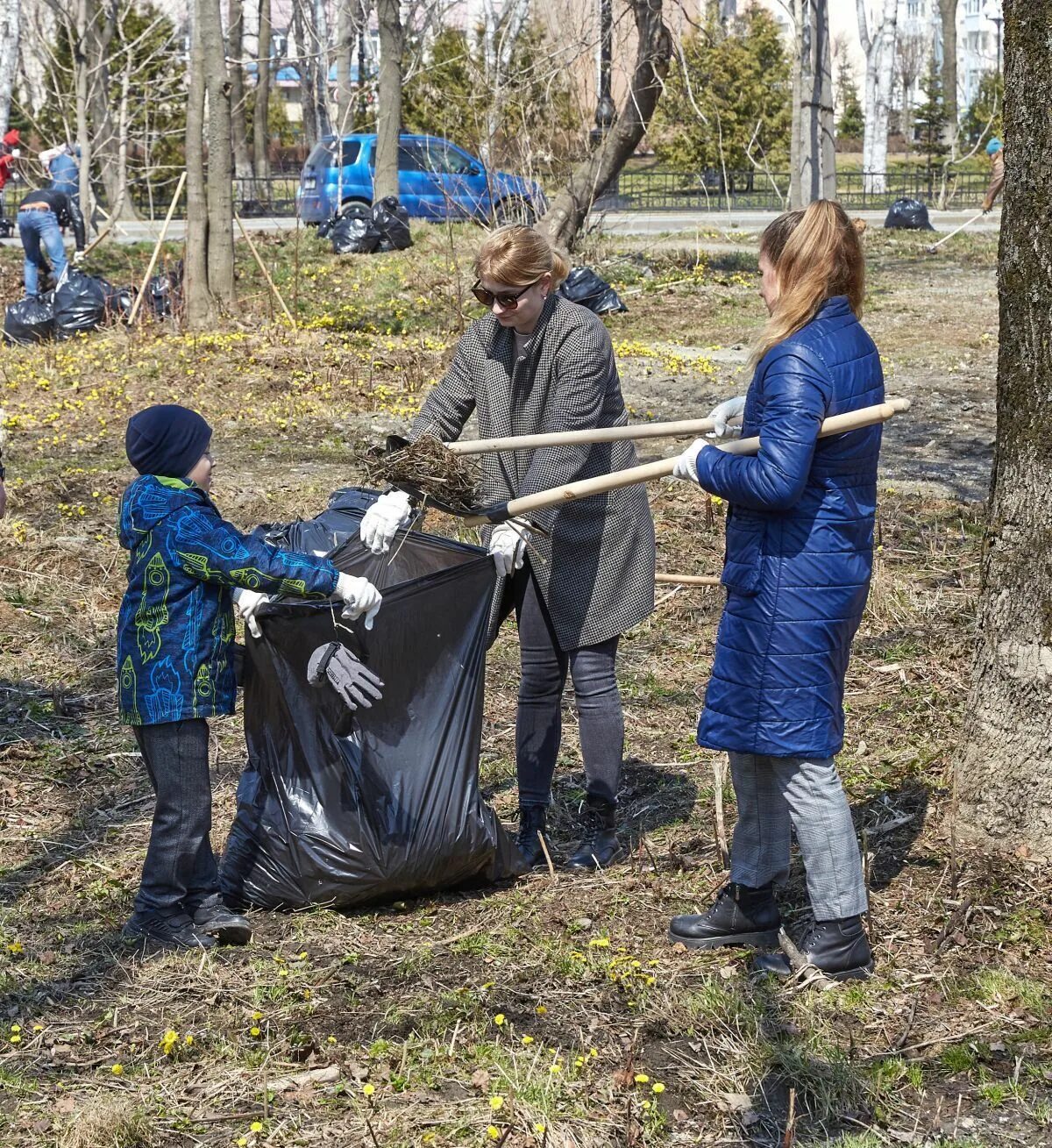 Обще городской суботник. Субботник 20. Субботник вологда. Субботник 20. Субботник в парке.