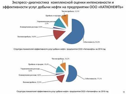 Катконефть