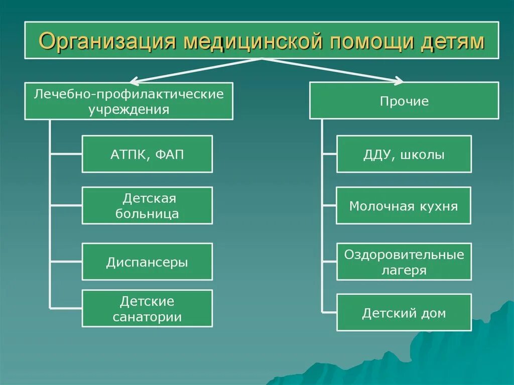 Организация медицинской помощи детям. Принципы организации мед помощи детям. Принципы организации лечебно-профилактической помощи детям. Организация лечебно-профилактической помощи женщинам. Специализированные лечебно профилактические учреждения