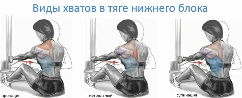 Тяга рукоять с Нижнего блока. Тяга Нижнего блока с широкой рукоятью. Горизонтальная тяга блока сидя широким хватом. Тяга горизонтального блока обратным хватом. Техника выполнения горизонтальной тяги. Тяга рукоять с Нижнего блока. Тяга Нижнего блока с широкой рукоятью. Горизонтальная тяга блока сидя широким хватом. Тяга горизонтального блока обратным хватом.