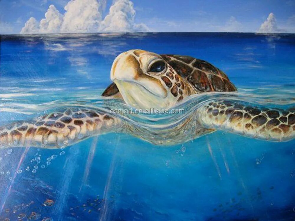 Возможность изображения картинки на экране холста turtle
