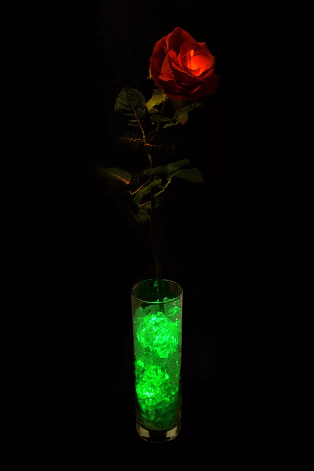 Светодиодная гирлянда розы. Светящиеся цветы в темноте. Светящиеся розы. Светящиеся цветы. Цветы в темноте.
