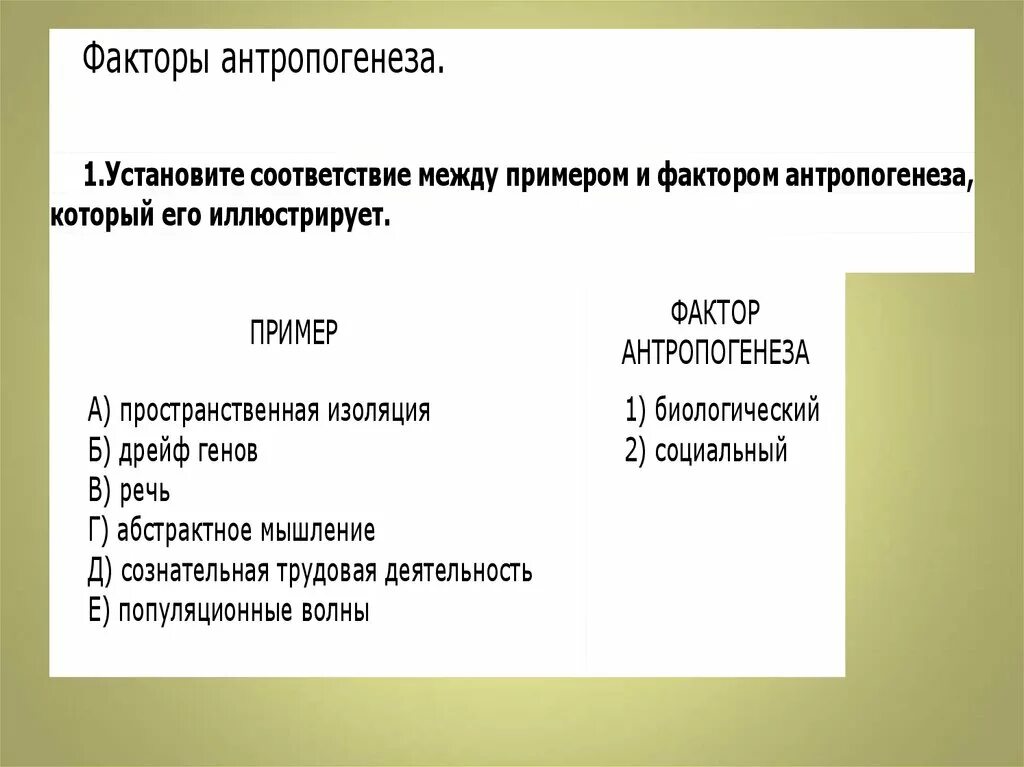 Основные движущие факторы антропогенеза. Социальные предпосылки антропогенеза. Движущие силы факторы антропогенеза. Роль социальных факторов в антропогенезе. Биологические факторы антропогенеза.