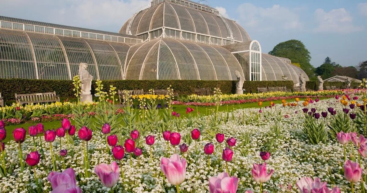 Королевский ботанический сад кью в англии. Королевские сады кью в лондоне. Ботанические сады кью. Kew gardens. Kew gardens в лондоне.