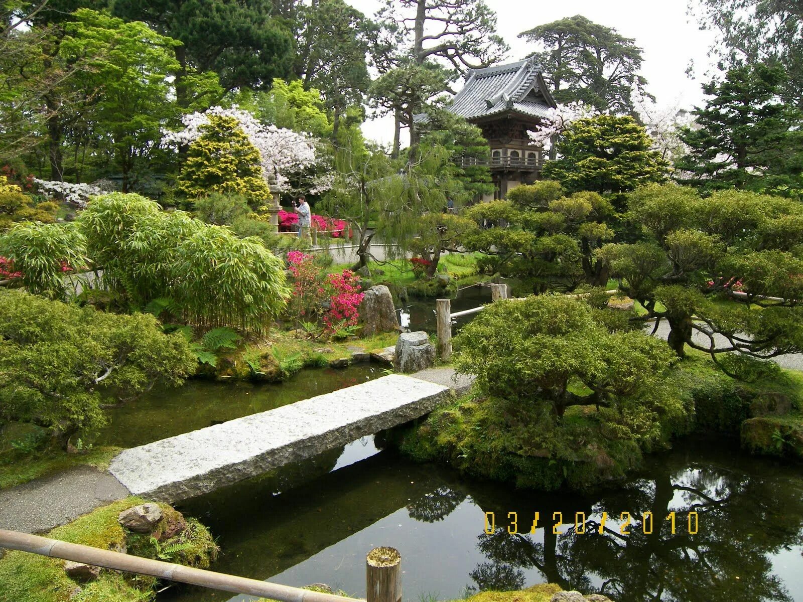 Японский пруд. Сад хиранива в Японии. Парк Калинского сад Японии. Японский сад цубо с прудом. Голицынский парк японский сад.