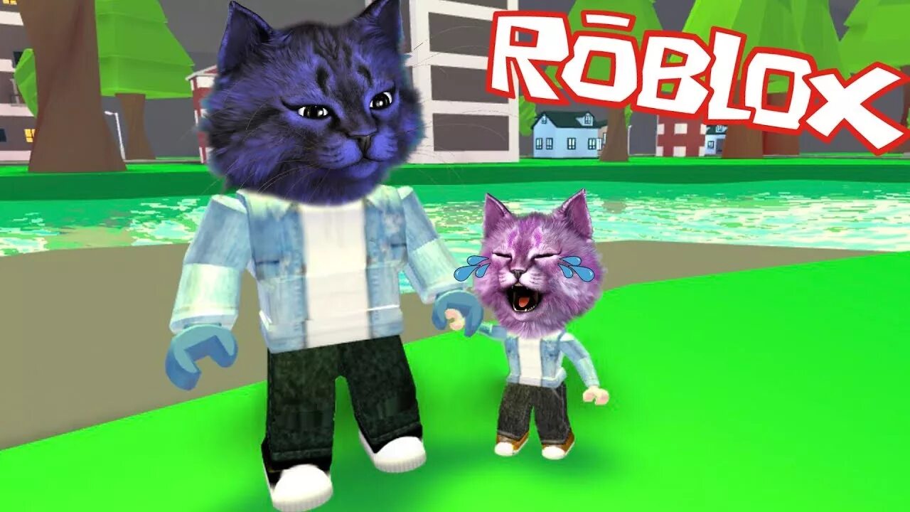 Роблокс видео котенка