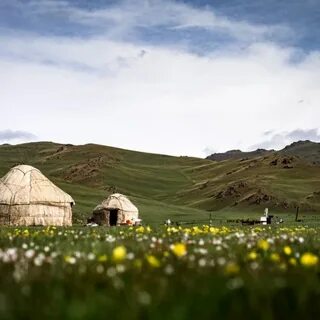 Орыстың есектері