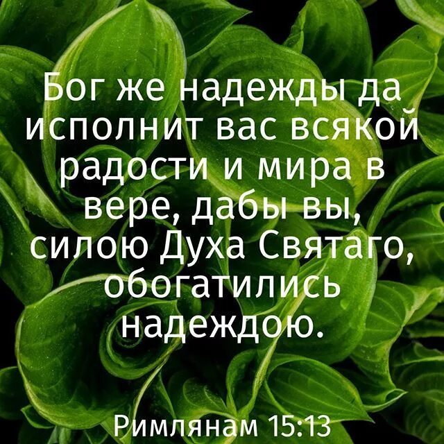 Стихи в Библии про радость. Бог же надежды да исполнит вас всякой радости и мира в вере. Стихи из Библии о радости. Цитаты из Библии о вере в Бога.