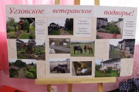 Мое подворье