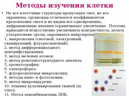 Методы структурной биологии 10