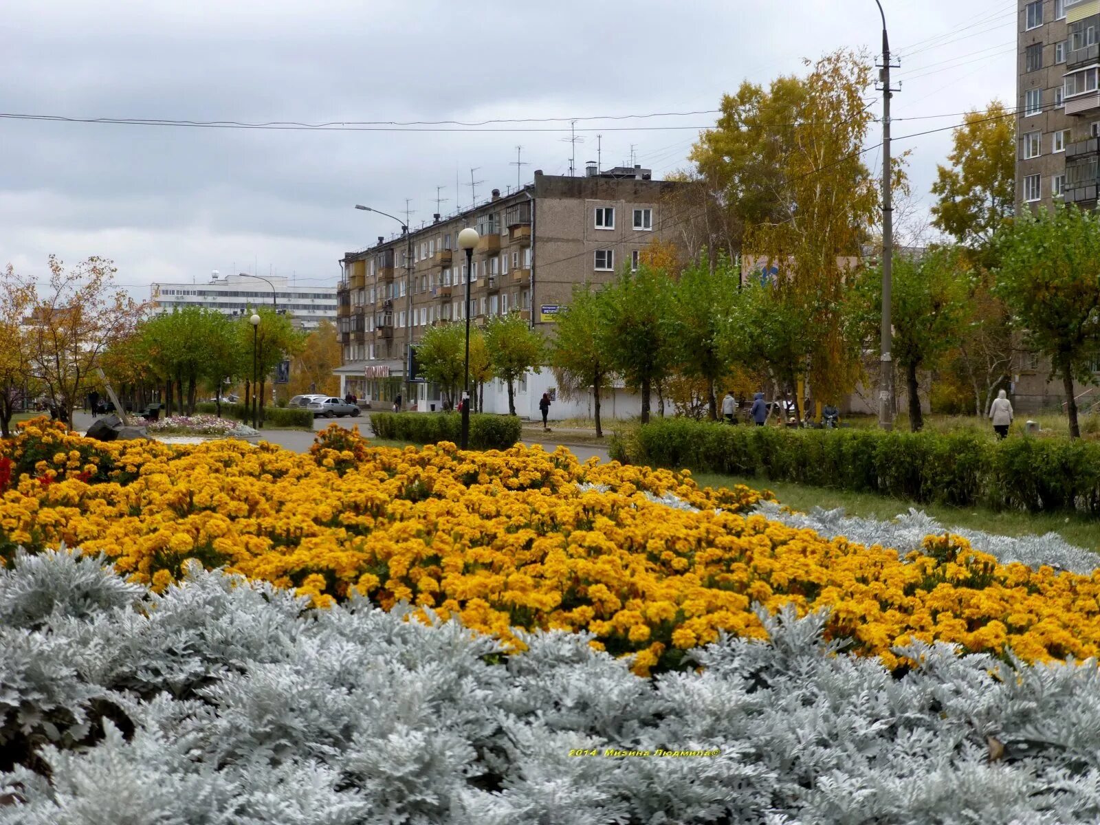 Братск город. Братск центр города лето. Братск Иркутская область. Кирова Братск сквер.