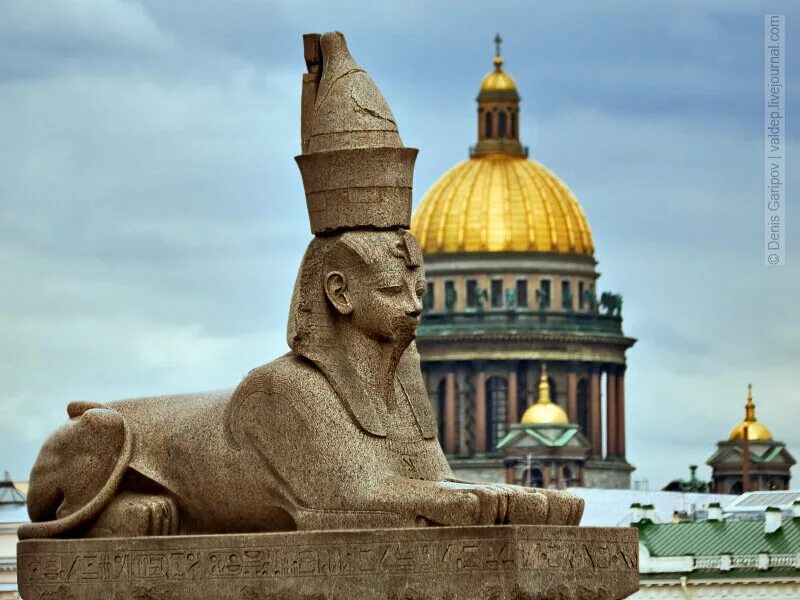 Сфинкс спб. Сфинксы у академии художеств в санкт-петербурге. сфинксы в санкт-петербурге на университетской набережной. сфинксы на университетской набережной. питер сфинксы академия художеств.