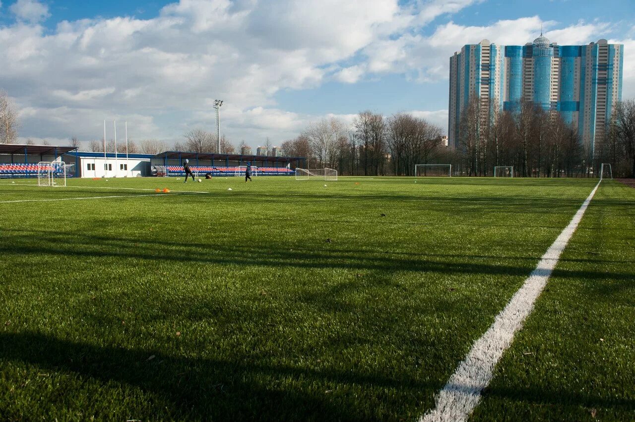 Фон поле. В чистом поле. Летом в поле. Фон поле. Зеленое поле.