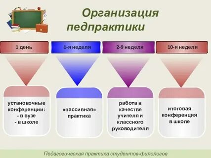 Социально педагогическая практика студентов