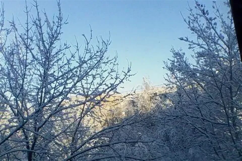 Капельки брянск. Капельки брянск