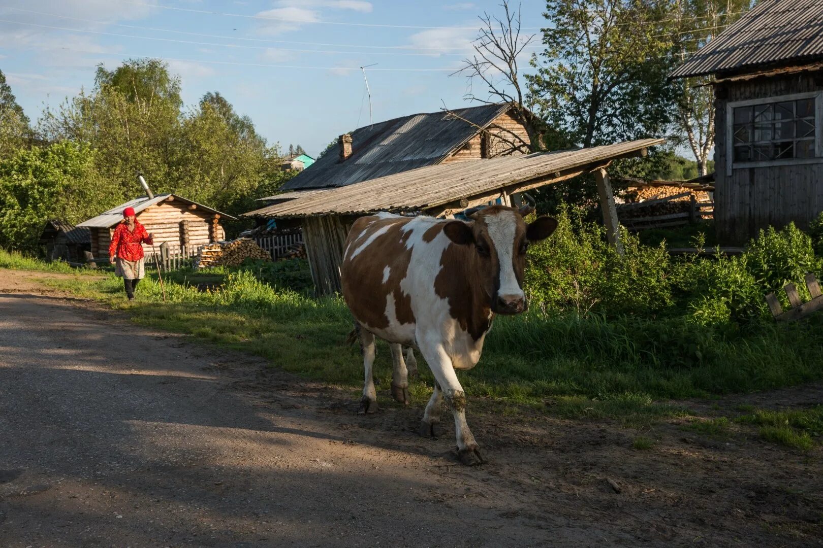Деревенский идти