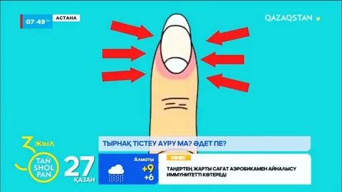 Тоған жағасындағы жалаңаш есек видео