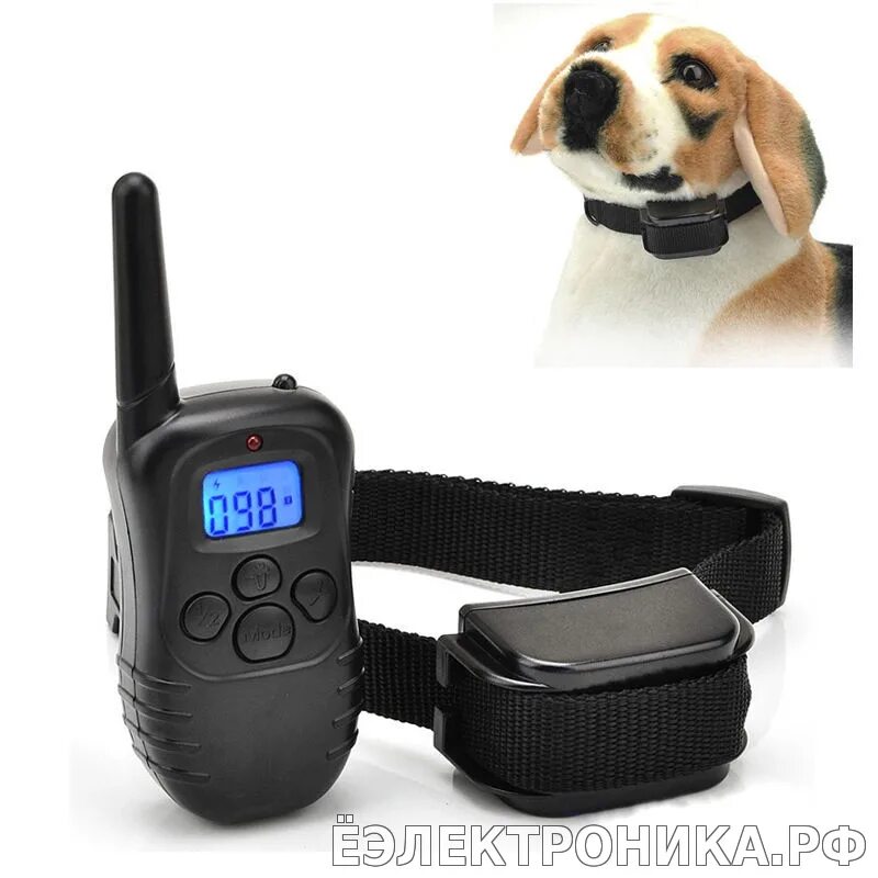 Купить электронный ошейник для дрессировки. Dog Training Collar электро ошейник для собак. X13-12056 электроошейник для собак. Электронный ошейник Petrainer pet998dbl. Электроошейник для дрессировки собак.