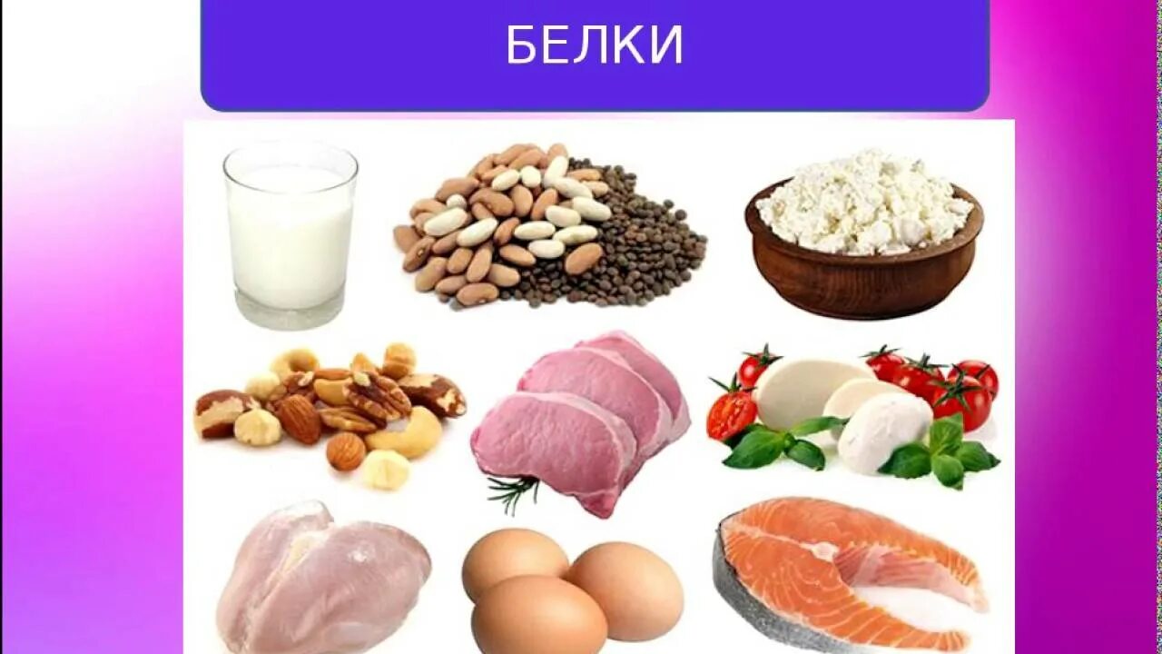 Белок для пожилых людей. Белок в продуктах. Протеиновая еда. Белковая пища. Питание лиц пожилого и старческого возраста.