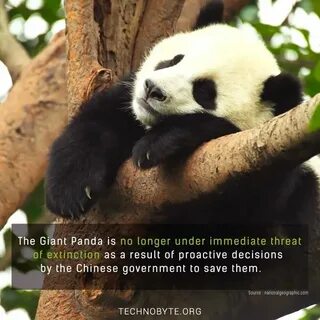 Pandas items