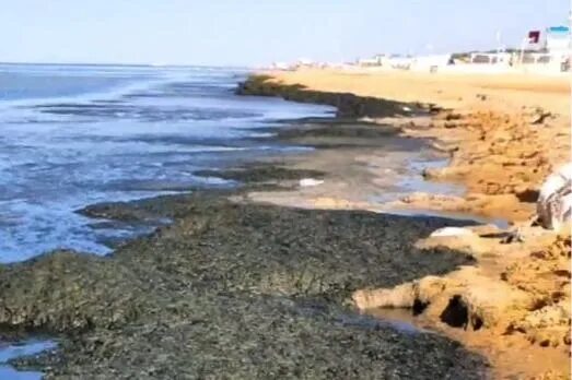 ХОРЛЫ: отдых на Черном море 2025 - Херсонская область