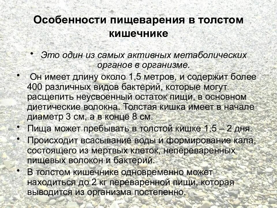 Какие процессы в толстом кишечнике. Особенности пищеварения в толстом кишечнике. особенности пищеварения в толстой кишке. пищеварение в толстой кишечнике. пищеварение в толстом кишечнике кратко.