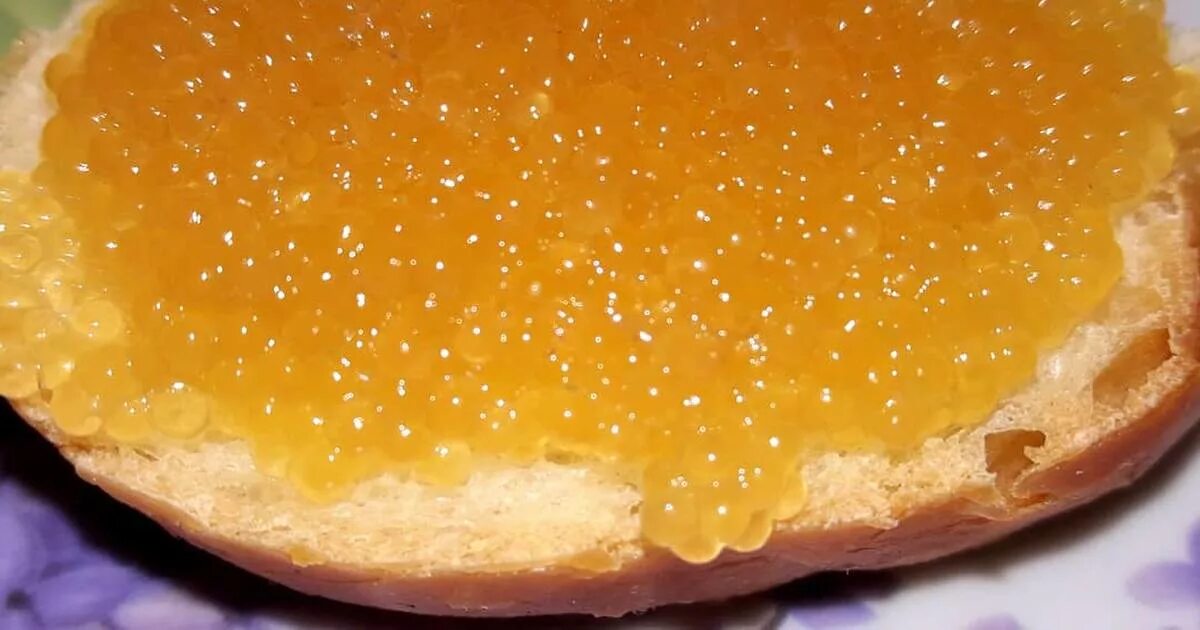 икра белорыбицы. щучья икра. щучья икра на развес. щучья икра размер икринок. как выглядит щучья икра.