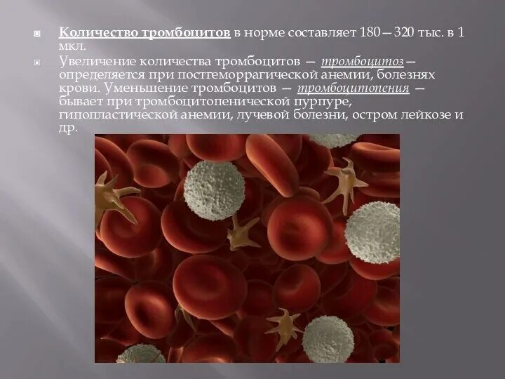 Крупные тромбоциты. Тромбоциты норма. содержание тромбоцитов в крови. увеличение количества тромбоцитов. количество тромбоцитов в норме составляет.