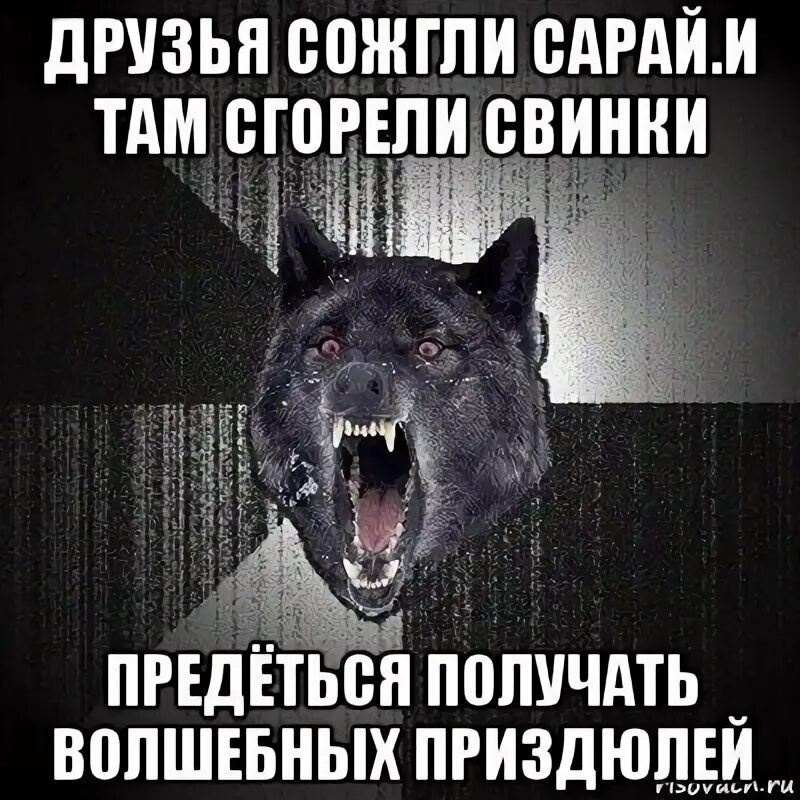 И я я в нем сгорел. Друзья сожгли сарай и в нём сгорели свинки. сумасшедший волк мем. горит сарай гори и хата мем.