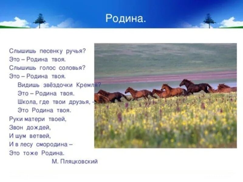 Слышишь песню соловья. Это Родина твоя стихотворение. Стихи о родине. Холмы перелески Луга и поля родная зелёная наша земля. Стих Пляцковского Родина.