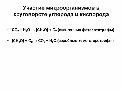 Роль бактерий в круговороте кислорода