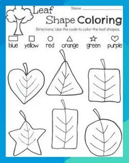 Leaves worksheets
