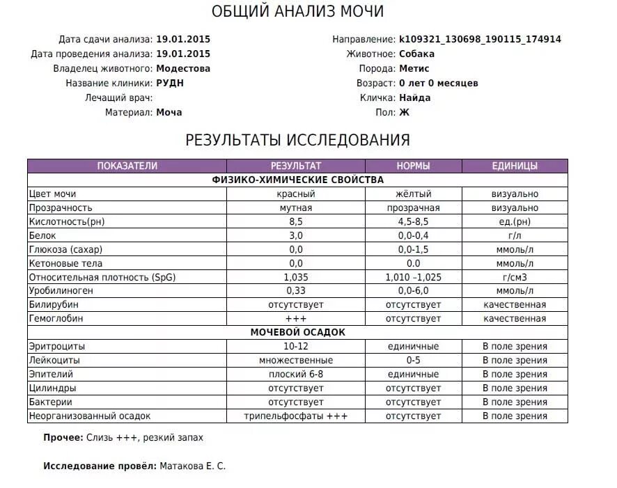 Сколько действует общий анализ. Общий анализ мочи у собаки норма и расшифровка результатов таблица. Результат исследования анализа мочи. Анализ мочи собаки. Общий анализ крови и мочи.