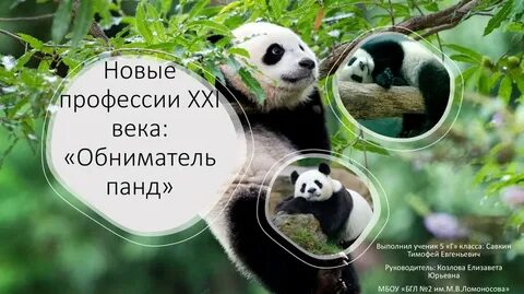 Панда экзам