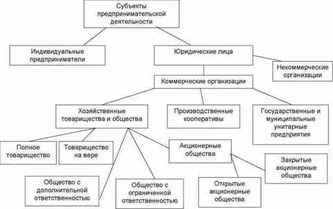 Субъекты предпринимательской деятельности индивидуальные предприниматели