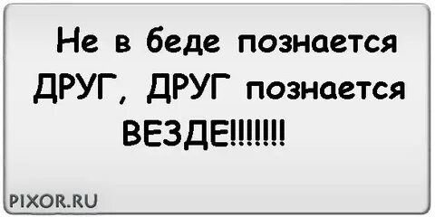 Кто лучше беда