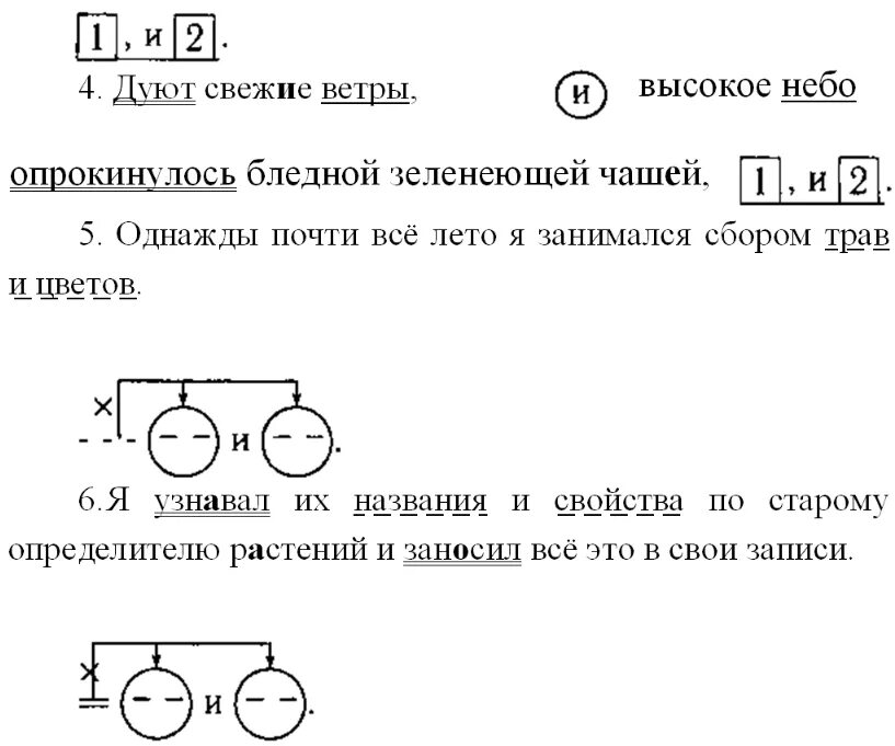 Дует дует дует свежий ветер