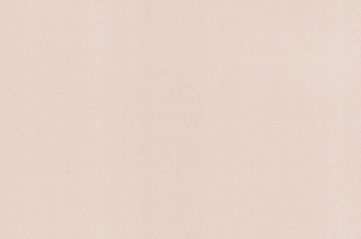 Молочный фон однотонный. Молочный фон. Обои as creation lagom 36938-4. Молочный фон. Бежевый фон для фотошопа.