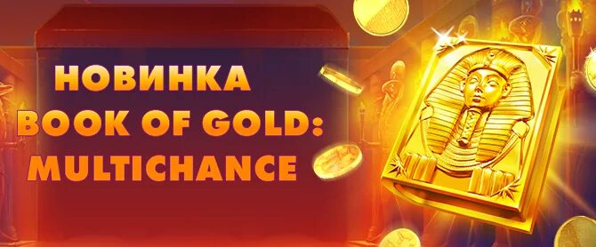 Book of gold. Book of Gold multichance. Gold book. Book of Gold multichance game. Сбой в book of Gold.