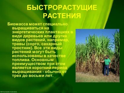 Биомасса это