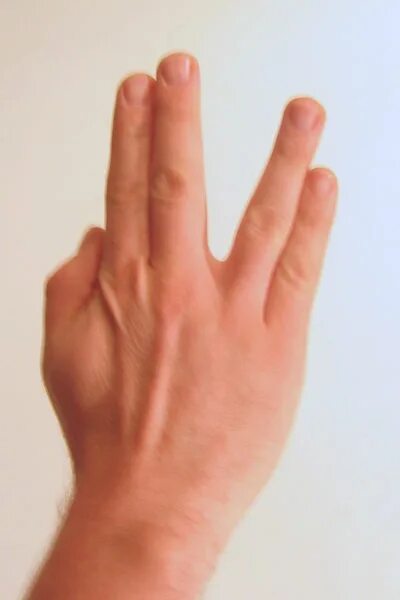 2 2 четыре пальца. Ладонь два пальца. Средний и безымянный палец. Указательный и средний палец. Знаки пальцами.