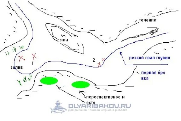 Перспективные места ловли сазана на реке. Место ловли сазана. Монтаж оснастки на сазана. Снасть на сазана на течении с берега. Места стоянки щуки на реке зимой.