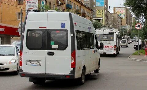 Луидор 225033